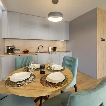 Panorama Karkonoszy アパート *