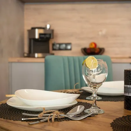 Panorama Karkonoszy アパート *