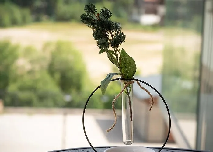 公寓 Panorama Karkonoszy