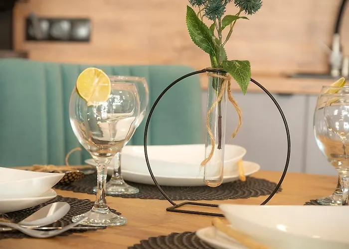 Panorama Karkonoszy 公寓 *